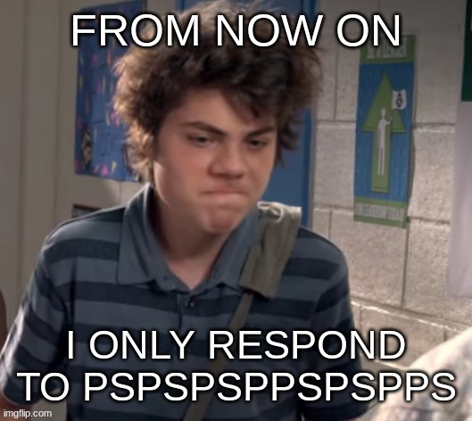 dissapointed | FROM NOW ON; I ONLY RESPOND TO PSPSPSPPSPSPPS | image tagged in dissapointed | made w/ Imgflip meme maker