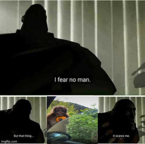 somebody is afraid of me | image tagged in i fear no man | made w/ Imgflip meme maker