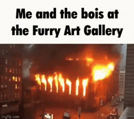 no im not a furry | made w/ Imgflip meme maker