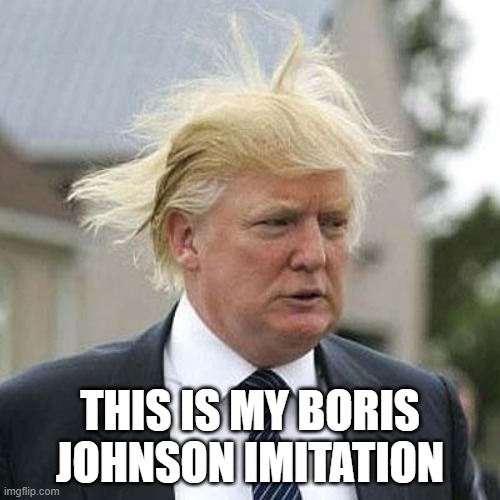 Donald Trump | THIS IS MY BORIS JOHNSON IMITATION | image tagged in donald trump,boris johnson,america,england | made w/ Imgflip meme maker