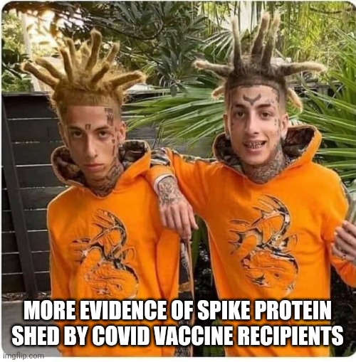 EVIDENCE OF SPIKE PROTEIN SHED | MORE EVIDENCE OF SPIKE PROTEIN SHED BY COVID VACCINE RECIPIENTS | image tagged in spike protein twins,covid vaccine,funny memes,evidence,covid-19 | made w/ Imgflip meme maker