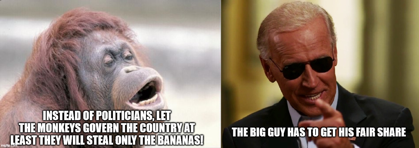 Thief in Chief | INSTEAD OF POLITICIANS, LET THE MONKEYS GOVERN THE COUNTRY AT LEAST THEY WILL STEAL ONLY THE BANANAS! THE BIG GUY HAS TO GET HIS FAIR SHARE | image tagged in memes,monkey ooh,cool joe biden | made w/ Imgflip meme maker