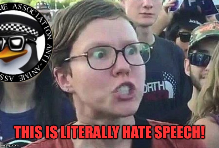 Triggered Liberal | THIS IS LITERALLY HATE SPEECH! | image tagged in triggered liberal | made w/ Imgflip meme maker