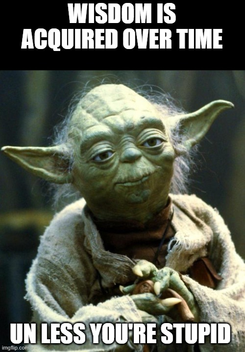 I call for wisdom |  WISDOM IS ACQUIRED OVER TIME; UN LESS YOU'RE STUPID | image tagged in memes,star wars yoda,wisdom,funny,fun | made w/ Imgflip meme maker