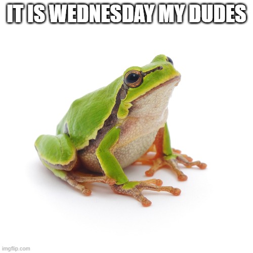 IT IS WEDNESDAY MY DUDES | made w/ Imgflip meme maker