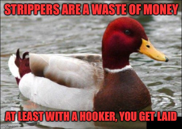 Malicious Advice Mallard Meme | STRIPPERS ARE A WASTE OF MONEY AT LEAST WITH A HOOKER, YOU GET LAID | image tagged in memes,malicious advice mallard | made w/ Imgflip meme maker