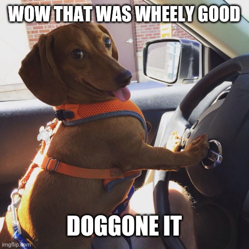 Wiener Dog in Car | WOW THAT WAS WHEELY GOOD DOGGONE IT | image tagged in wiener dog in car | made w/ Imgflip meme maker