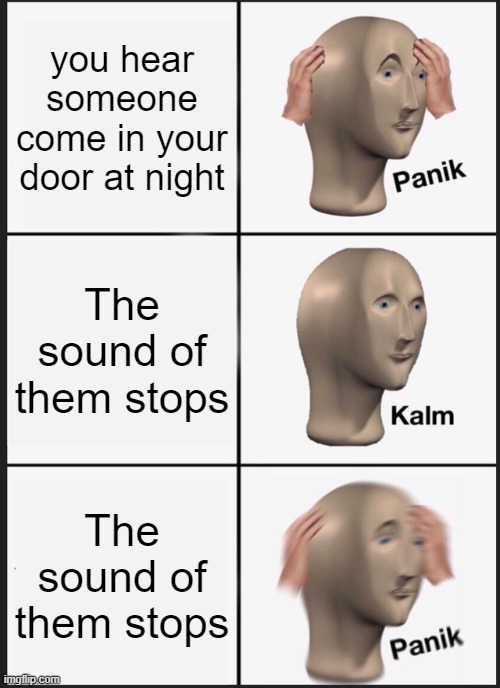 well im dead | you hear someone come in your door at night; The sound of them stops; The sound of them stops | image tagged in memes,panik kalm panik | made w/ Imgflip meme maker