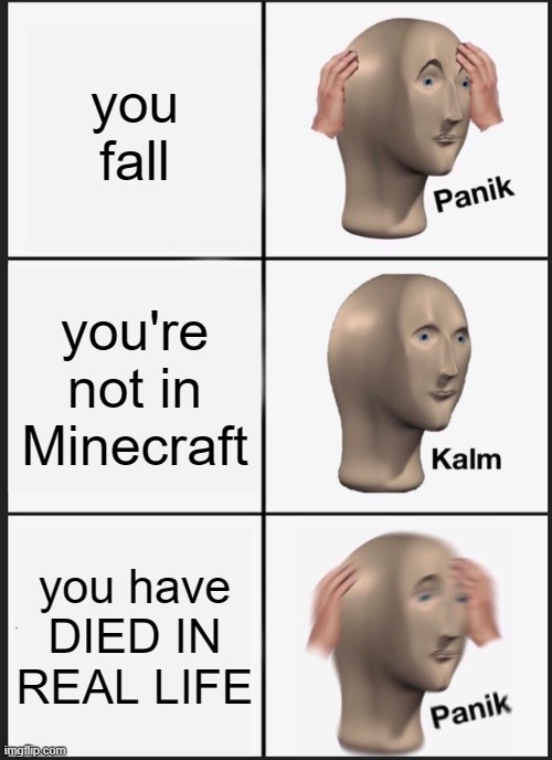 understandable | you fall; you're not in Minecraft; you have DIED IN REAL LIFE | image tagged in memes,panik kalm panik | made w/ Imgflip meme maker