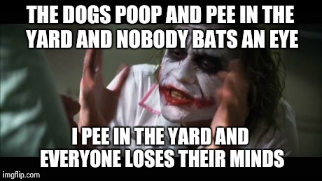 And everybody loses their minds Meme | THE DOGS POOP AND PEE IN THE YARD AND NOBODY BATS AN EYE I PEE IN THE YARD AND EVERYONE LOSES THEIR MINDS | image tagged in memes,and everybody loses their minds,AdviceAnimals | made w/ Imgflip meme maker