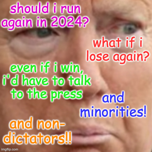 Doge J. Trump  ( : | should i run again in 2024? what if i
lose again? even if i win,
i'd have to talk
to the press; and minorities! and non-
dictators!! | image tagged in memes,doge trump,2024 election,loser | made w/ Imgflip meme maker