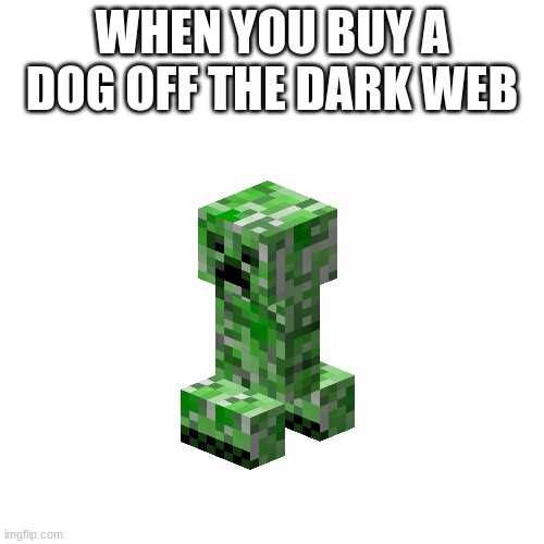 dark web meme | WHEN YOU BUY A DOG OFF THE DARK WEB | image tagged in memes,blank transparent square | made w/ Imgflip meme maker