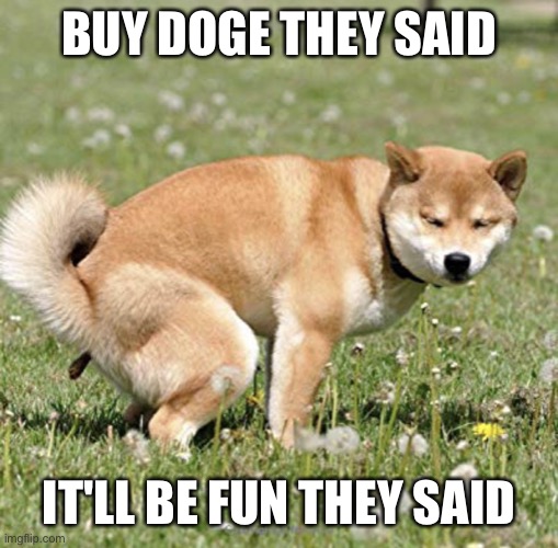 Buy buy....  Bye!!! | BUY DOGE THEY SAID; IT'LL BE FUN THEY SAID | image tagged in doge takes a dump | made w/ Imgflip meme maker