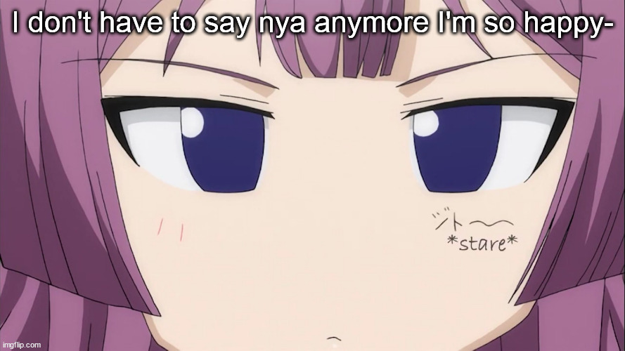 Kiriha Stare | I don't have to say nya anymore I'm so happy- | image tagged in kiriha stare | made w/ Imgflip meme maker