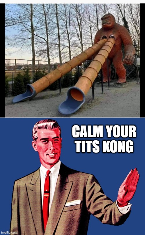 BAD ENGINEERING | CALM YOUR TITS KONG | image tagged in whoa there template,stupid people,fail,slide | made w/ Imgflip meme maker