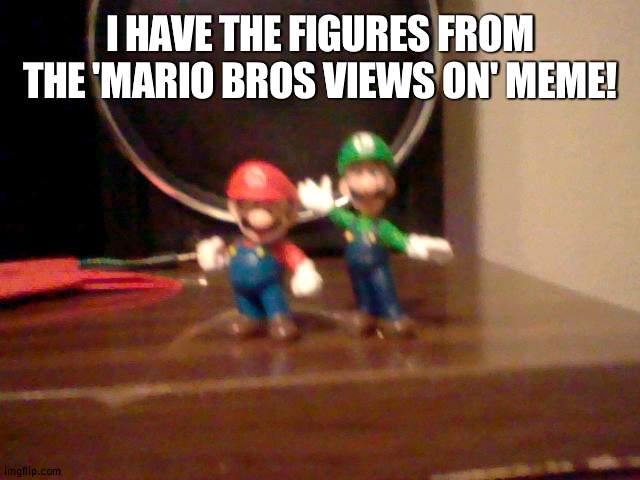 YES | I HAVE THE FIGURES FROM THE 'MARIO BROS VIEWS ON' MEME! | image tagged in amazing,what are the mario bros views on | made w/ Imgflip meme maker