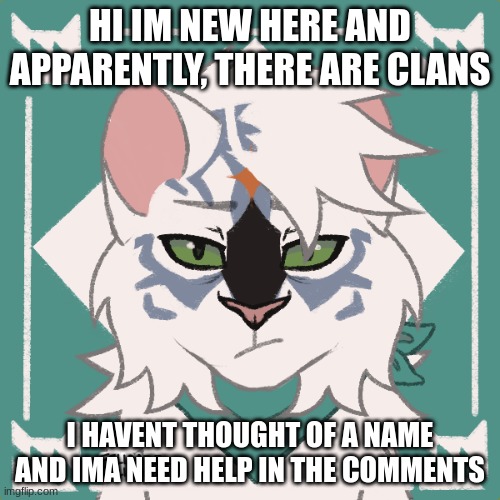 HI IM NEW HERE AND APPARENTLY, THERE ARE CLANS; I HAVENT THOUGHT OF A NAME AND IMA NEED HELP IN THE COMMENTS | made w/ Imgflip meme maker