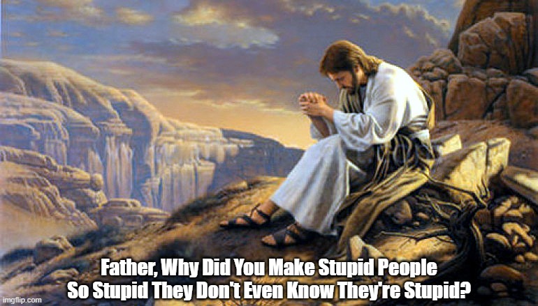 Jesus Poses A Question To His Heavenly Father | Father, Why Did You Make Stupid People So Stupid They Don't Even Know They're Stupid? | image tagged in jesus,stupidity,stupid people | made w/ Imgflip meme maker