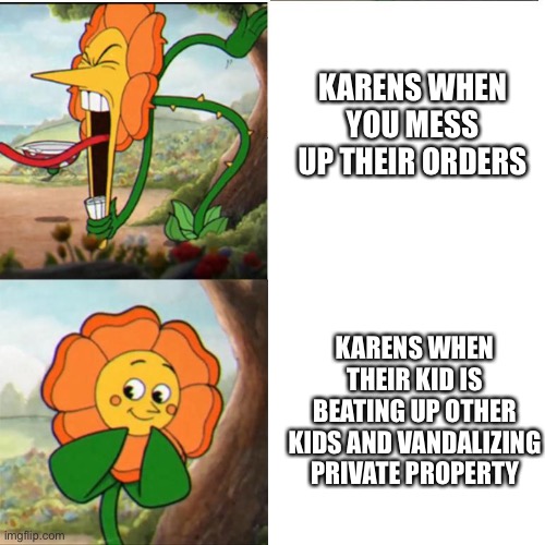 Karens need to go to mental institutions. | KARENS WHEN YOU MESS UP THEIR ORDERS; KARENS WHEN THEIR KID IS BEATING UP OTHER KIDS AND VANDALIZING PRIVATE PROPERTY | image tagged in cuphead flower,funny memes,never gonna give you up,never gonna let you down,never gonna run around,and desert you | made w/ Imgflip meme maker