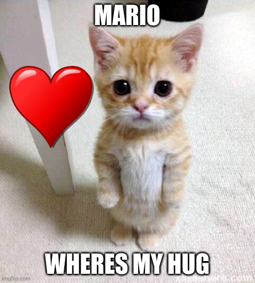 Cute Cat Meme | MARIO WHERES MY HUG | image tagged in memes,cute cat | made w/ Imgflip meme maker