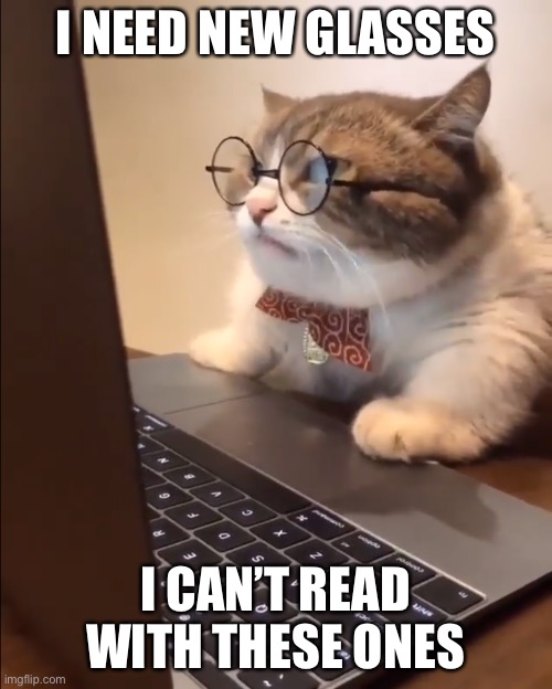 Cat needs new glasses |  I NEED NEW GLASSES; I CAN’T READ WITH THESE ONES | image tagged in research cat,glasses,blind,reading,reading cat | made w/ Imgflip meme maker