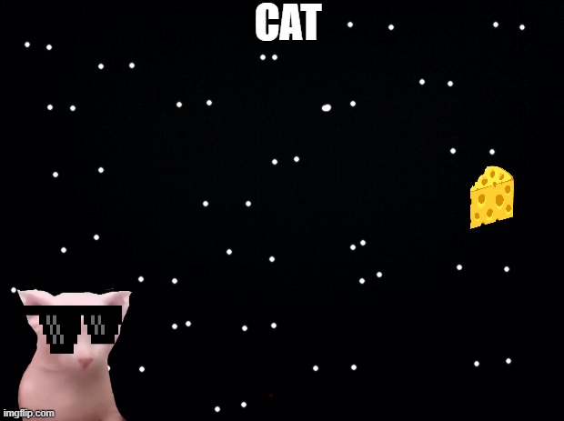 cat | CAT | image tagged in black background | made w/ Imgflip meme maker