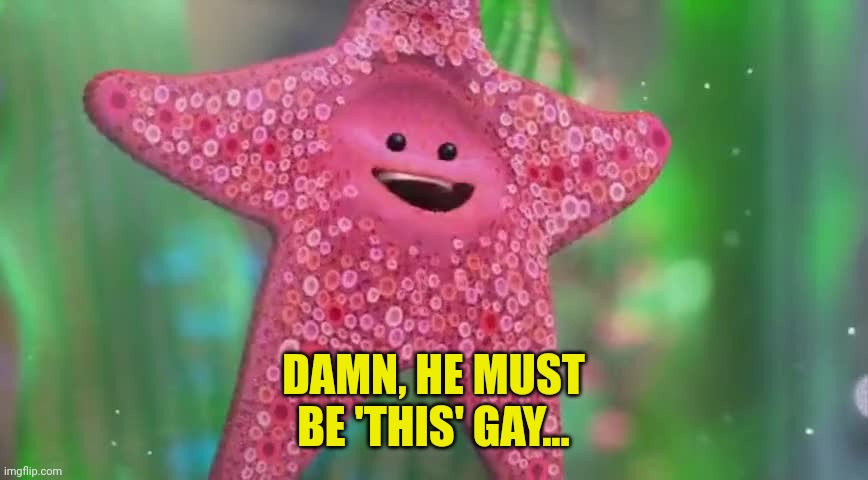 Starfish | DAMN, HE MUST BE 'THIS' GAY... | image tagged in starfish | made w/ Imgflip meme maker