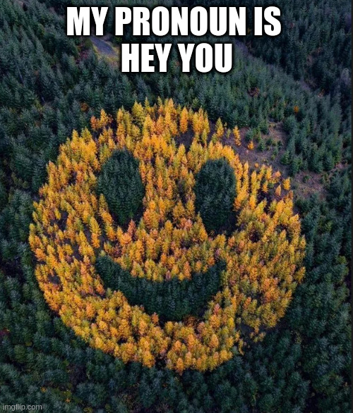 tree smile | MY PRONOUN IS 
HEY YOU | image tagged in tree smile | made w/ Imgflip meme maker