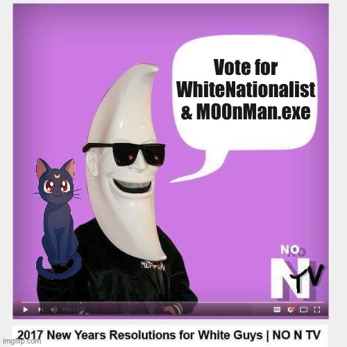 I don’t know what Luna from Sailor Moon is doing on this Neo-Nazi’s shoulder | Vote for WhiteNationalist & M00nMan.exe | image tagged in new years resolutions for white guys,vote,whitenationalist,and,m00nman,soyboys | made w/ Imgflip meme maker