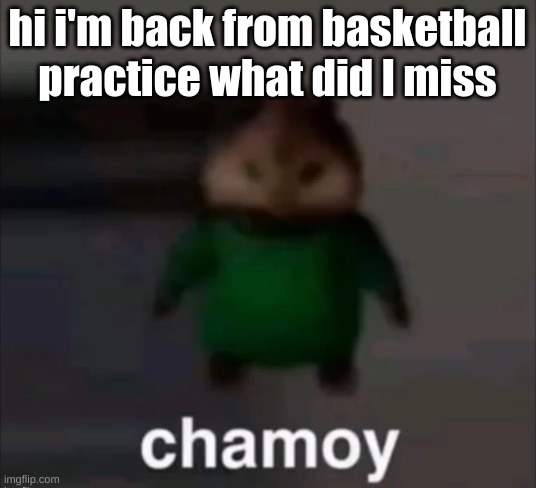 chamoy | hi i'm back from basketball practice what did I miss | image tagged in chamoy | made w/ Imgflip meme maker