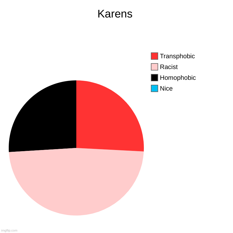 Karens | Karens | Nice, Homophobic, Racist, Transphobic | image tagged in charts,pie charts,karen | made w/ Imgflip chart maker