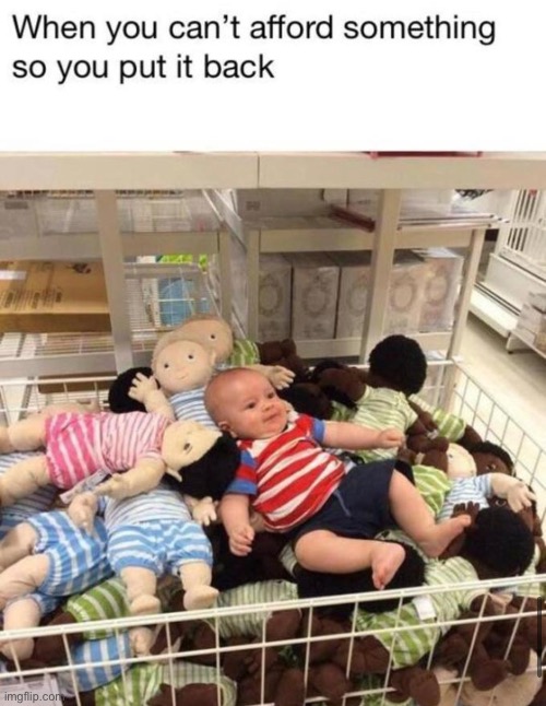 qwerty | image tagged in funny | made w/ Imgflip meme maker