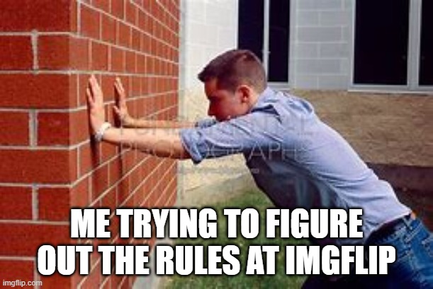 ME TRYING TO FIGURE OUT THE RULES AT IMGFLIP | image tagged in wall,rules,imgflip | made w/ Imgflip meme maker
