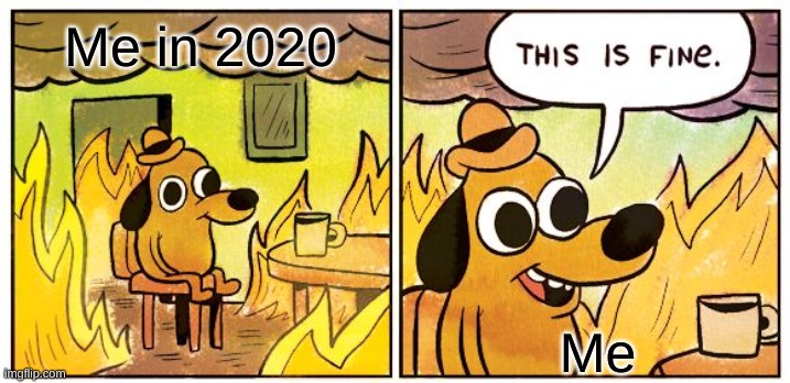 This Is Fine Meme | Me in 2020; Me | image tagged in memes,this is fine | made w/ Imgflip meme maker