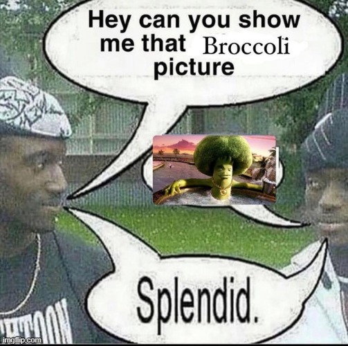 splendid | made w/ Imgflip meme maker