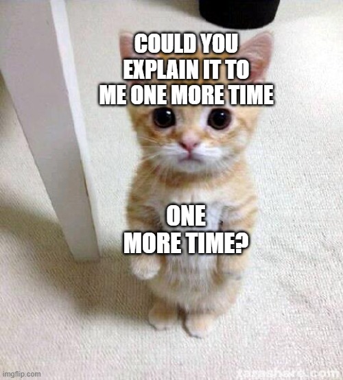 Cute Cat Meme | COULD YOU EXPLAIN IT TO ME ONE MORE TIME; ONE MORE TIME? | image tagged in memes,cute cat | made w/ Imgflip meme maker