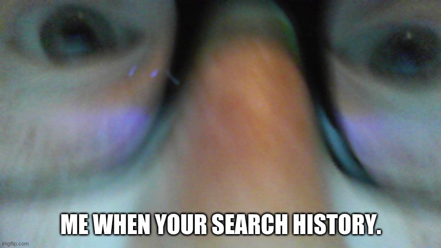 recreation of cinna's post thingy | ME WHEN YOUR SEARCH HISTORY. | image tagged in lol | made w/ Imgflip meme maker