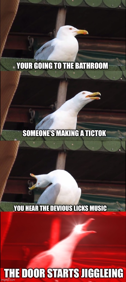 OH NO | YOUR GOING TO THE BATHROOM; SOMEONE’S MAKING A TICTOK; YOU HEAR THE DEVIOUS LICKS MUSIC; THE DOOR STARTS JIGGLEING | image tagged in memes,inhaling seagull,oof,oh wow are you actually reading these tags,stop reading the tags,please | made w/ Imgflip meme maker