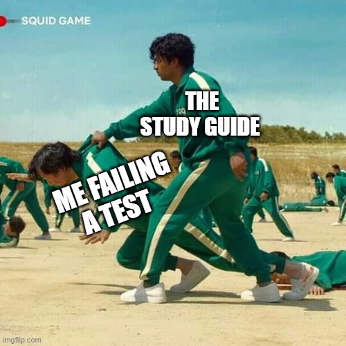Squid Game | THE STUDY GUIDE; ME FAILING A TEST | image tagged in squid game | made w/ Imgflip meme maker
