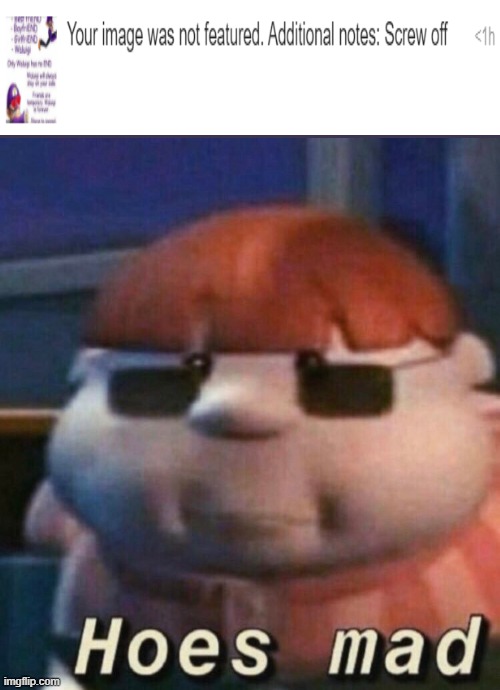 HOES MAD | image tagged in hoes mad | made w/ Imgflip meme maker