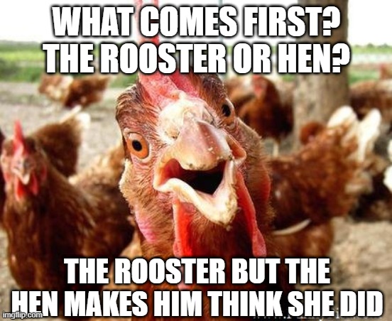 Fake It | WHAT COMES FIRST? THE ROOSTER OR HEN? THE ROOSTER BUT THE HEN MAKES HIM THINK SHE DID | image tagged in funny looking rooster insisting his point | made w/ Imgflip meme maker