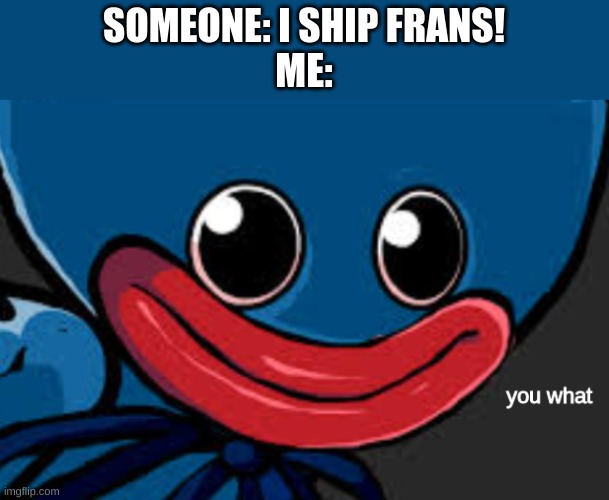 you what (Huggy Wuggy edition) | SOMEONE: I SHIP FRANS!
ME: | image tagged in you what huggy wuggy edition | made w/ Imgflip meme maker