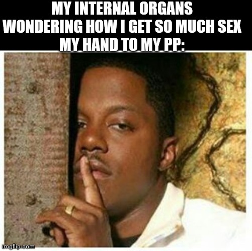 Shhh | MY INTERNAL ORGANS WONDERING HOW I GET SO MUCH SEX
MY HAND TO MY PP: | image tagged in shhh | made w/ Imgflip meme maker