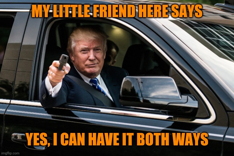 trump gun | MY LITTLE FRIEND HERE SAYS YES, I CAN HAVE IT BOTH WAYS | image tagged in trump gun | made w/ Imgflip meme maker