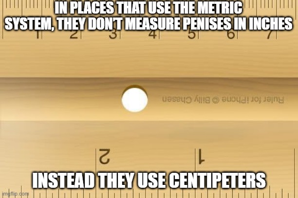 Accurate Mesurements | IN PLACES THAT USE THE METRIC SYSTEM, THEY DON’T MEASURE PENISES IN INCHES; INSTEAD THEY USE CENTIPETERS | image tagged in ruler | made w/ Imgflip meme maker