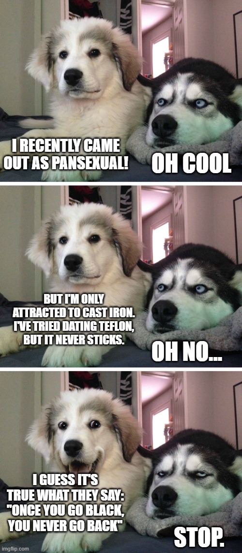 Hah | I RECENTLY CAME OUT AS PANSEXUAL! OH COOL; BUT I'M ONLY ATTRACTED TO CAST IRON.

I'VE TRIED DATING TEFLON, BUT IT NEVER STICKS. OH NO... I GUESS IT'S TRUE WHAT THEY SAY:

"ONCE YOU GO BLACK, YOU NEVER GO BACK"; STOP. | image tagged in bad pun dogs,memes,pan,pansexual,funny | made w/ Imgflip meme maker