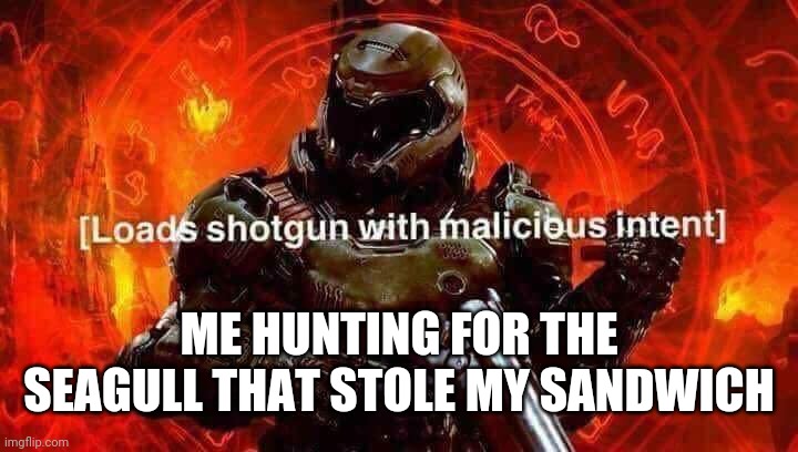 Loads shotgun with malicious intent | ME HUNTING FOR THE SEAGULL THAT STOLE MY SANDWICH | image tagged in loads shotgun with malicious intent | made w/ Imgflip meme maker