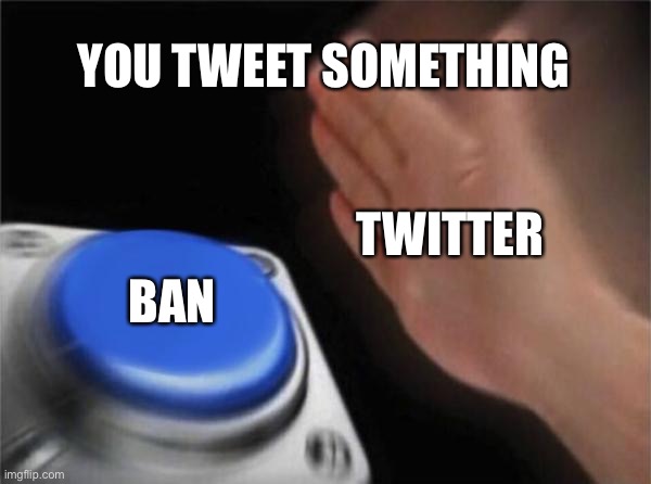 This is why I don’t have Twitter | YOU TWEET SOMETHING; TWITTER; BAN | image tagged in memes,blank nut button,twitter | made w/ Imgflip meme maker