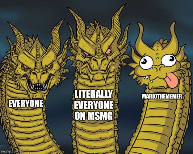 Three-headed Dragon | LITERALLY EVERYONE ON MSMG; MARIOTHEMEMER; EVERYONE | image tagged in three-headed dragon | made w/ Imgflip meme maker