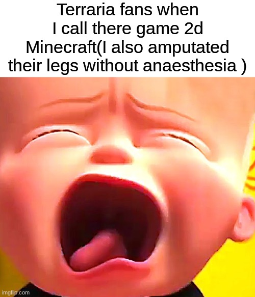 Terraria | Terraria fans when I call there game 2d Minecraft(I also amputated their legs without anaesthesia ) | made w/ Imgflip meme maker